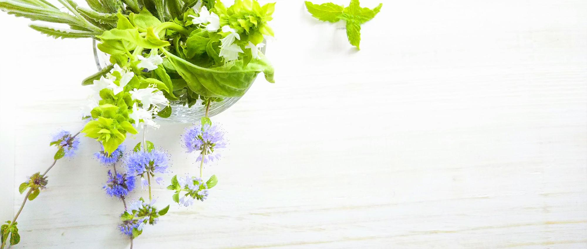 松戸市根本 松戸駅 耳鼻咽喉科